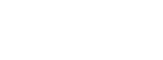 Home Visitation Initiative